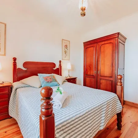 Matta By Amazing Madeira Santana (Madeira)