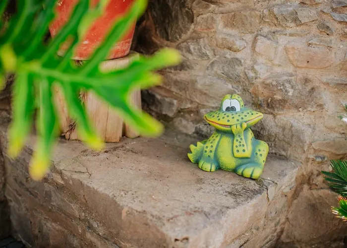 Matta By Amazing Madeira בית נופש *