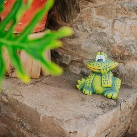 Matta By Amazing Madeira Nyaraló *